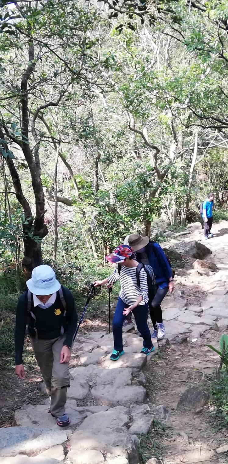 597add74-baf7-4315-aa09-2a225a38966d