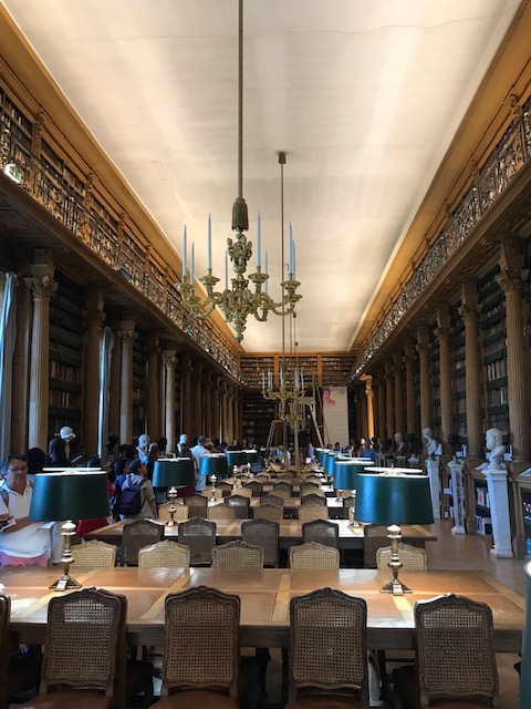 2019- IF Mazarine bibio.jpg